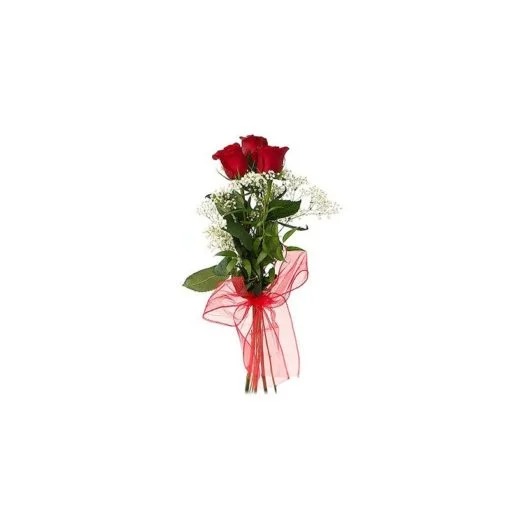 Joy of Love – 3 Red Roses with Gypsophila