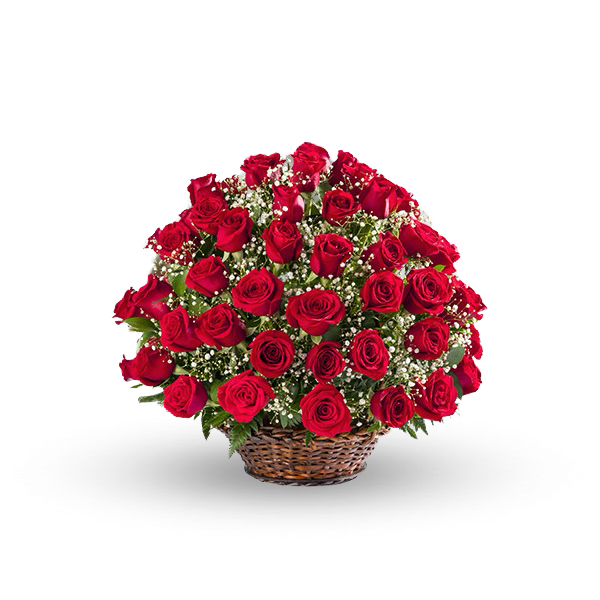 Imported Red Roses – Premium Quality Bouquet